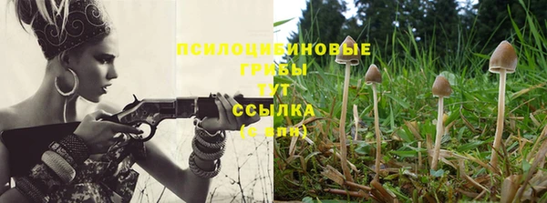хмурый Алексин